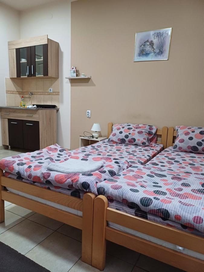 Hotel Pansion SANjA à Pirot Extérieur photo