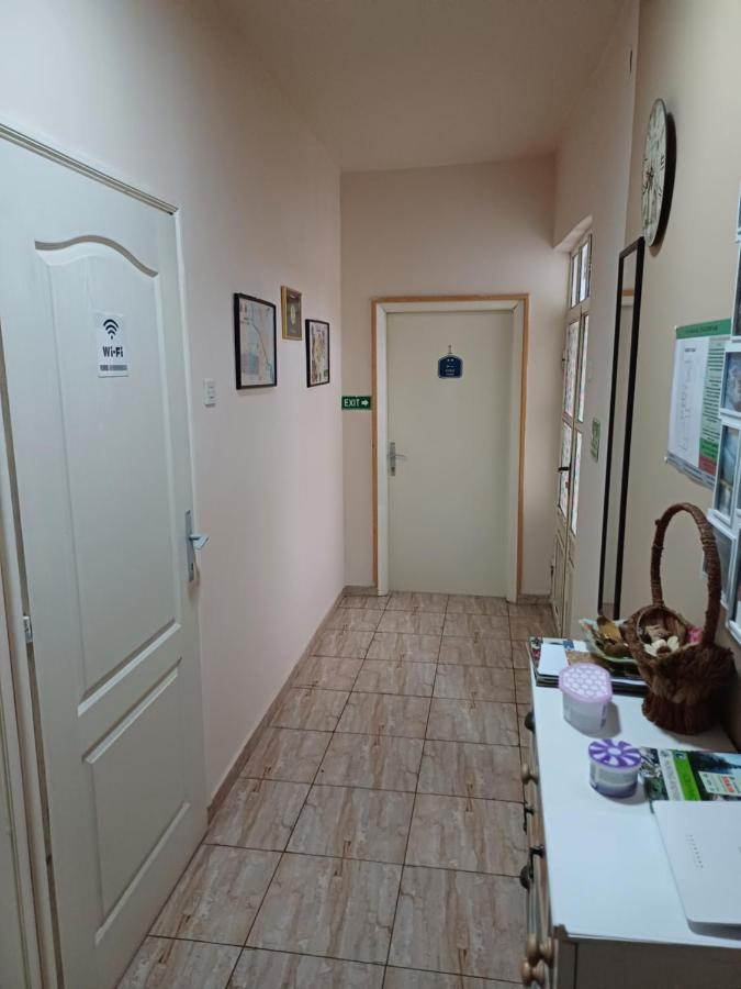 Hotel Pansion SANjA à Pirot Extérieur photo