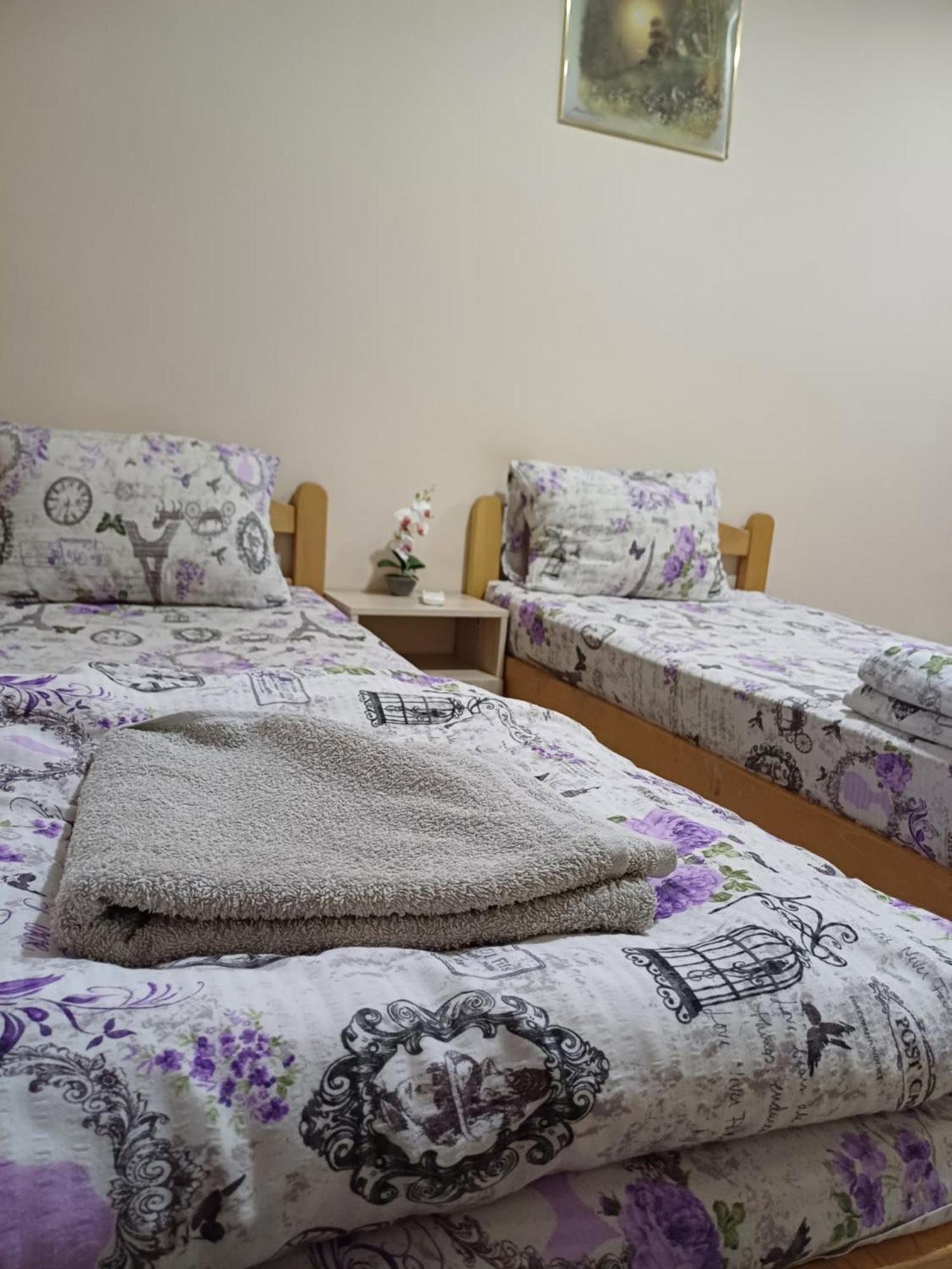 Hotel Pansion SANjA à Pirot Chambre photo