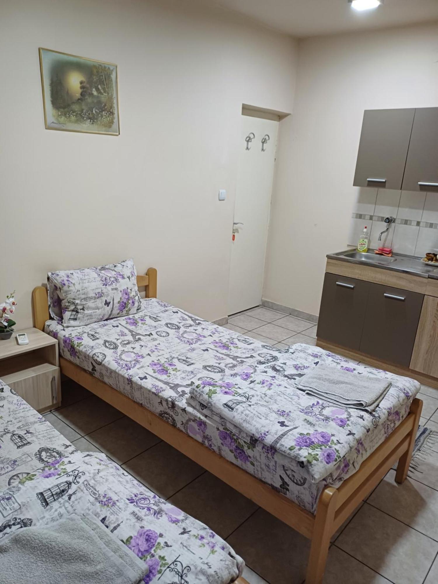 Hotel Pansion SANjA à Pirot Chambre photo